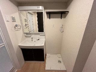 アプリコットＥ202号室 洗面（イメージ）