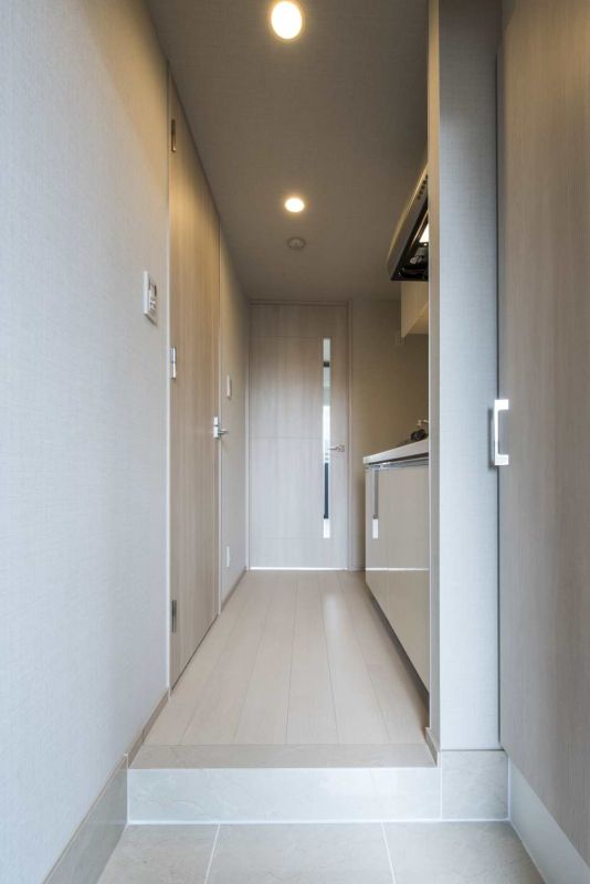 DIPS板橋駅前公園203号室 玄関