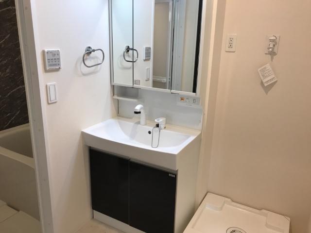 Lina（リーナ）205号室 洗髪洗面化粧台（イメージ）