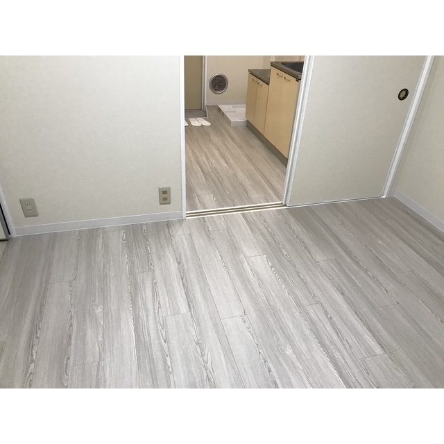 リエス伊勢原103号室 リビング