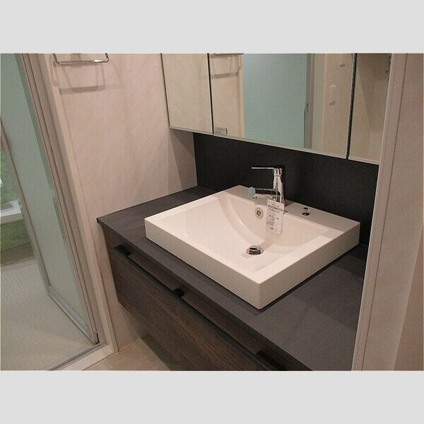 アピシウス 洗面化粧台