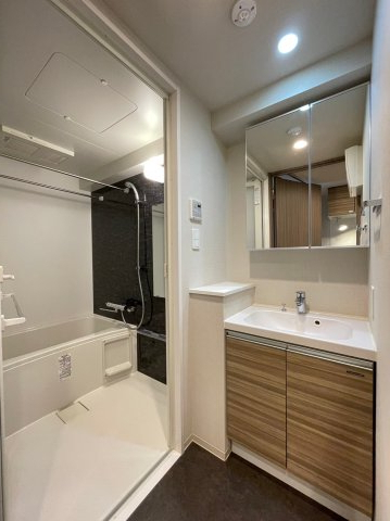 DIPS上板橋211号室 洗面