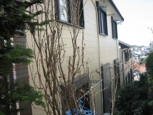 ロンウェル菊名　Ｂ棟B203号室 外観3