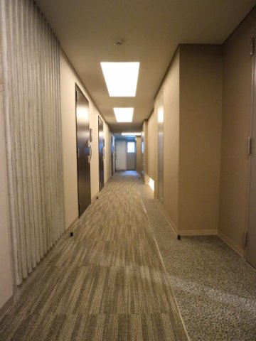 プラウドフラット門前仲町Ⅴ711号室 共用廊下　※参考写真