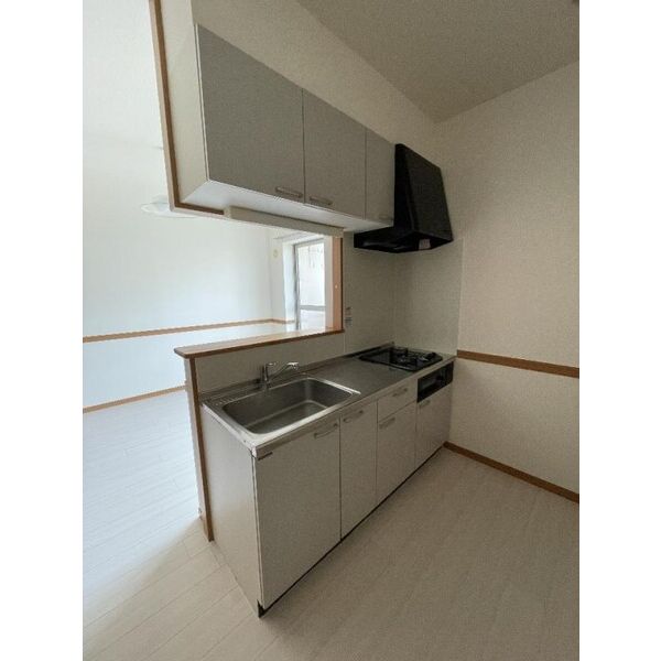 マンションプラティーノ201号室 キッチン