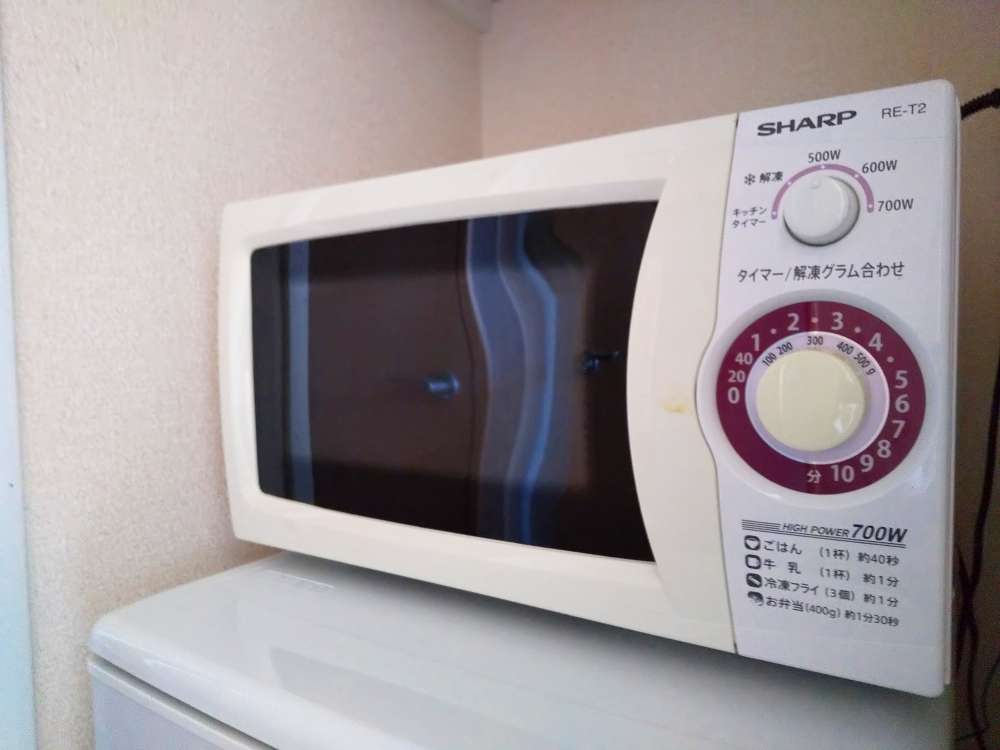 レオパレスカーニバルⅡ101号室 電子レンジ