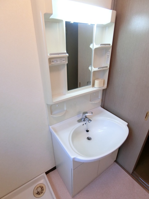 エコ・レジデンス0103号室 洗面