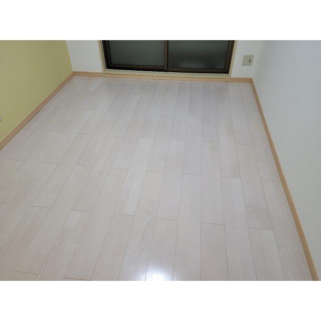 ハイムピア12 その他、部屋スペース