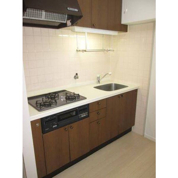 ダンデライアン鵠沼0107号室 キッチン