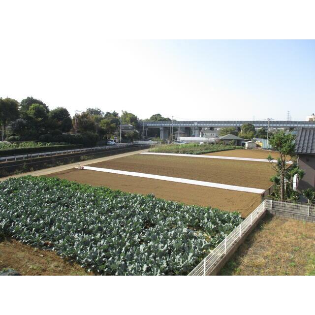 グリーンヒルズサイトウ1階 部屋その他