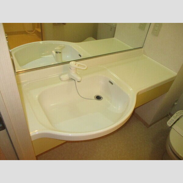 アネックスますや102号室 洗面台