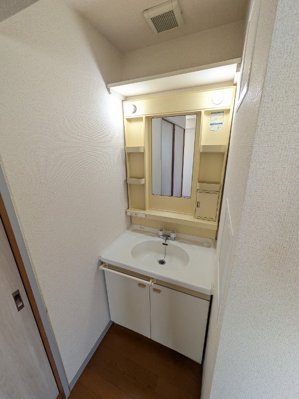 ベルエキップ一番館(E-143) 洗面所