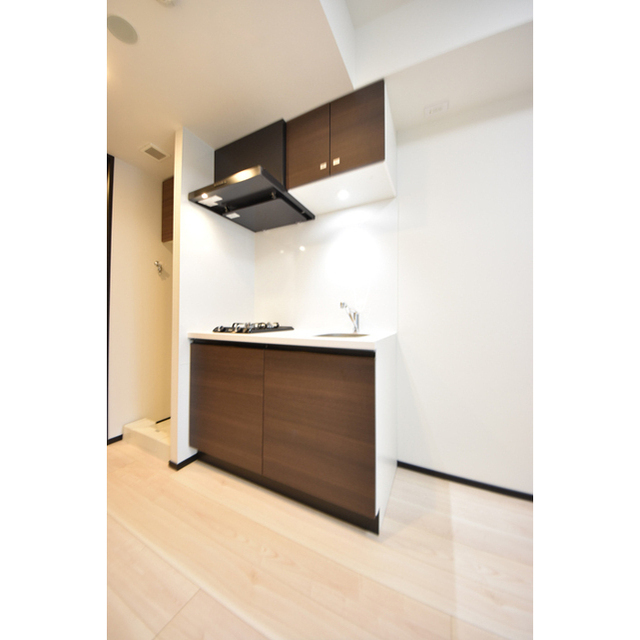 グランパセオ銀座築地1203号室 内観