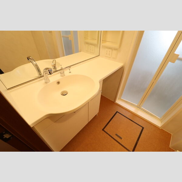 グリシーヌ　フルール202号室 洗髪洗面化粧台