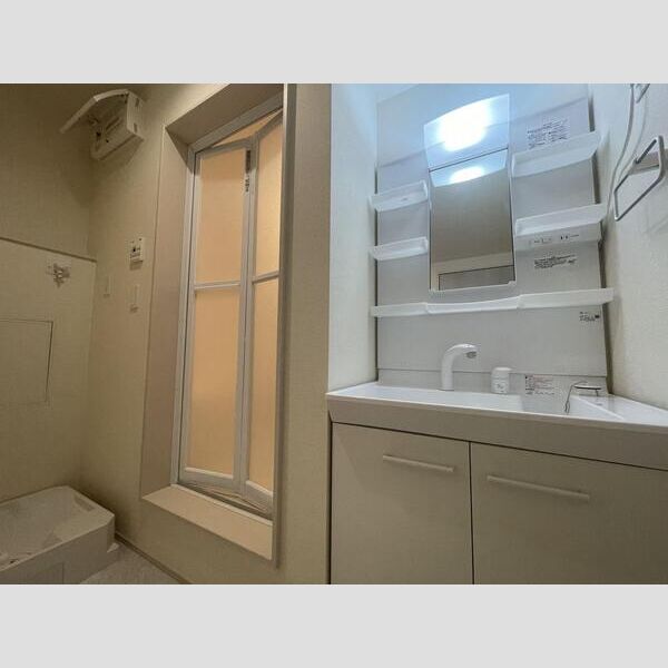 リーブルファイン武蔵村山大南203号室 洗面