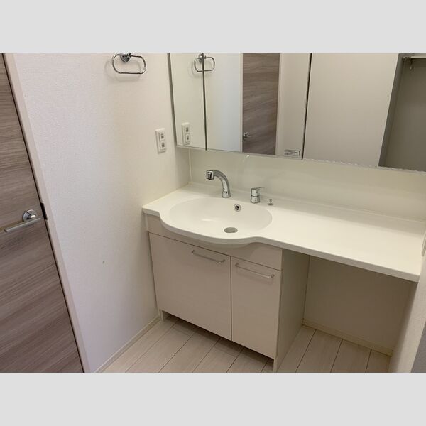 ロイジェントパークス レイクタウン Ⅲ　G103号室 洗髪洗面化粧台