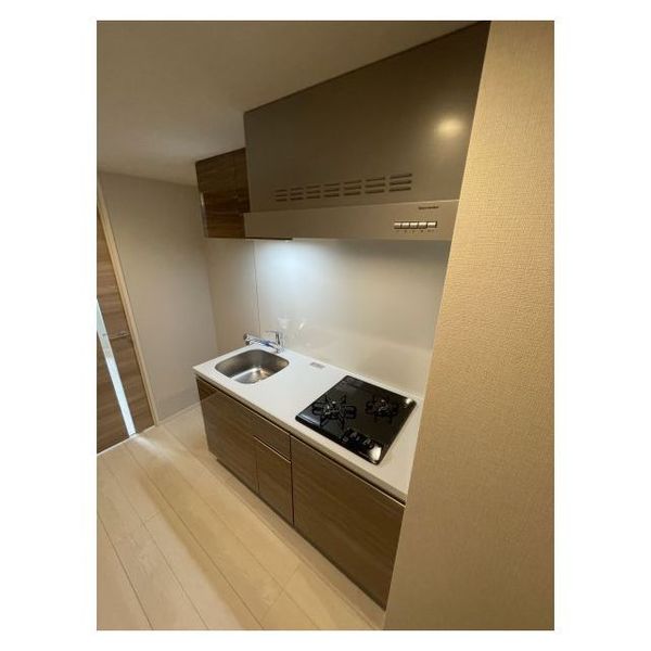 ドゥーエ亀戸Ⅱ1509号室 部屋その他