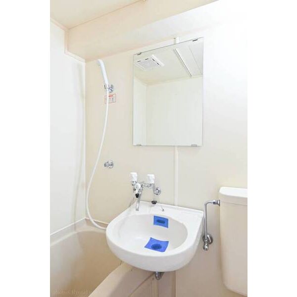 メゾン・ド・セレーブル0207号室 洗面