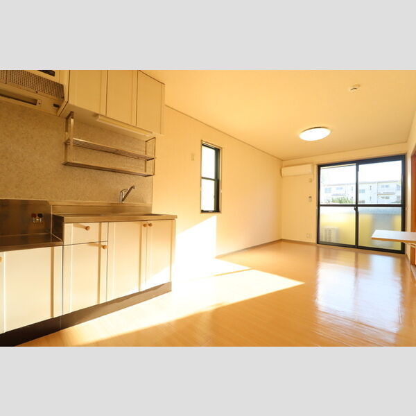 メゾン・ド・ラフィーネ　A LDK