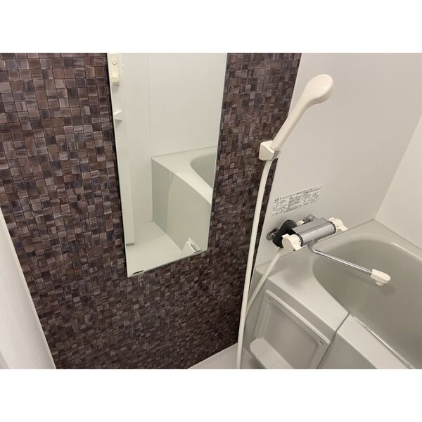 クラリッサ川崎ルーナ308号室 部屋その他