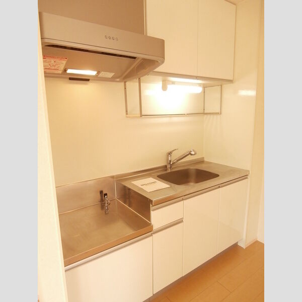 ラフォーレ上ノ台　B205号室 キッチン