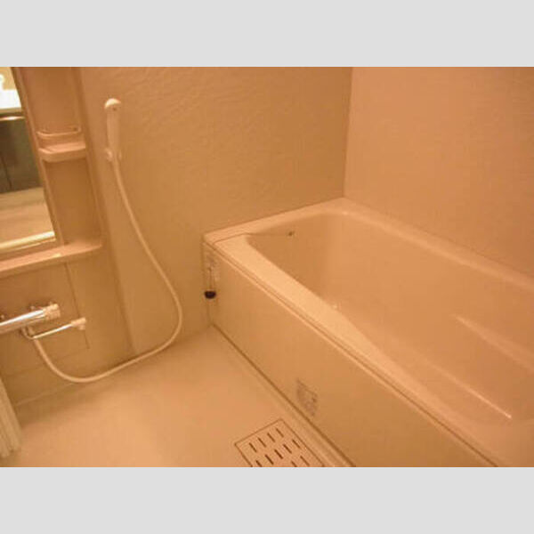 ロイヤルKJ406号室 浴室