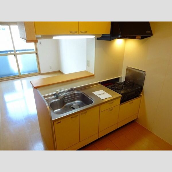 ラグーナ フォンテーヌ101号室 キッチン