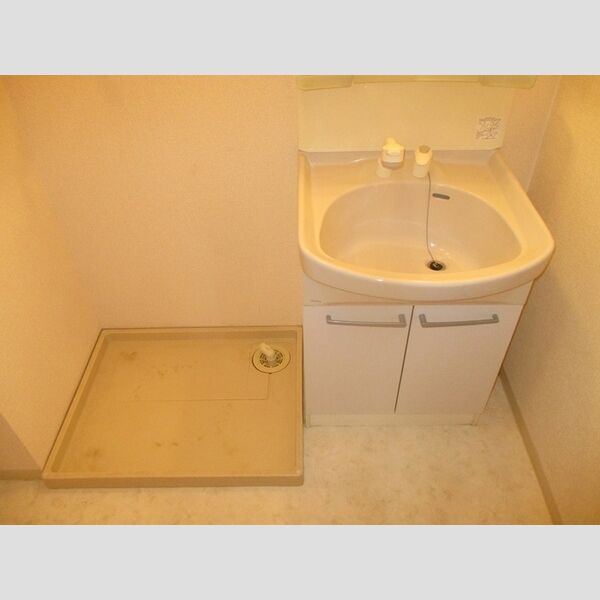 フェニックス　EFE202号室 洗髪洗面化粧台、室内洗濯機置場