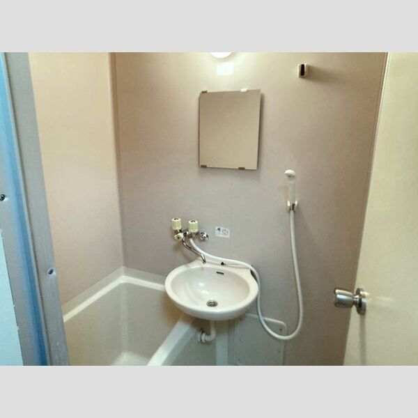 メゾン・ド・オヤマ203号室 洗面台