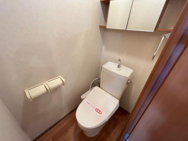 Ｇｒａｎｄｅ　Ｖｉｌｌａ（グランデ　ヴィラ）208号室 シャワー付トイレ