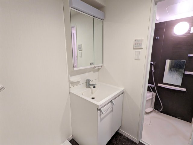 アリカ向島 洗面