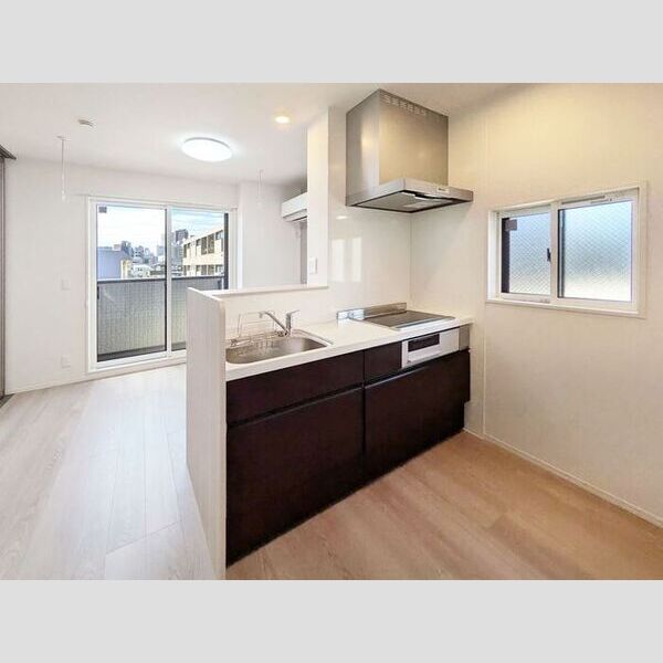 Asset-Court羽衣町301号室 システムキッチン