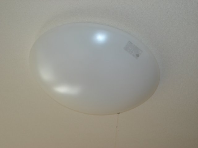 フランドール　タック101号室 照明