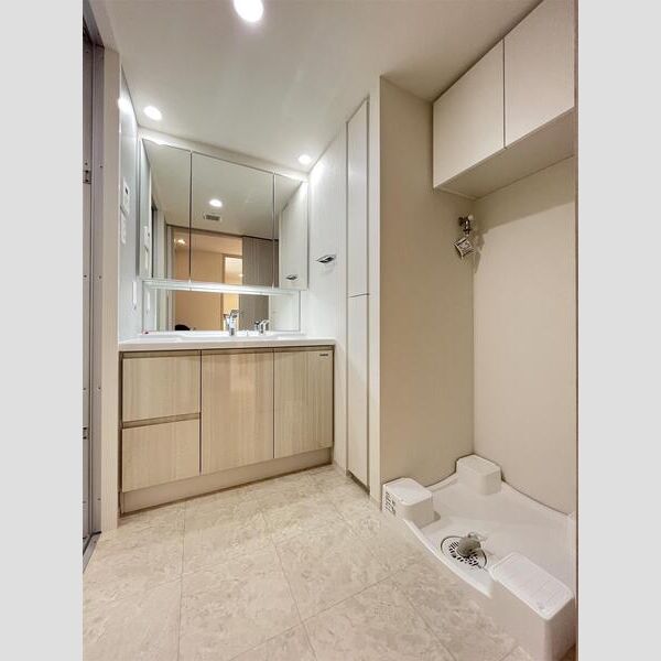 S-RESIDENCE板橋大山606号室 洗面