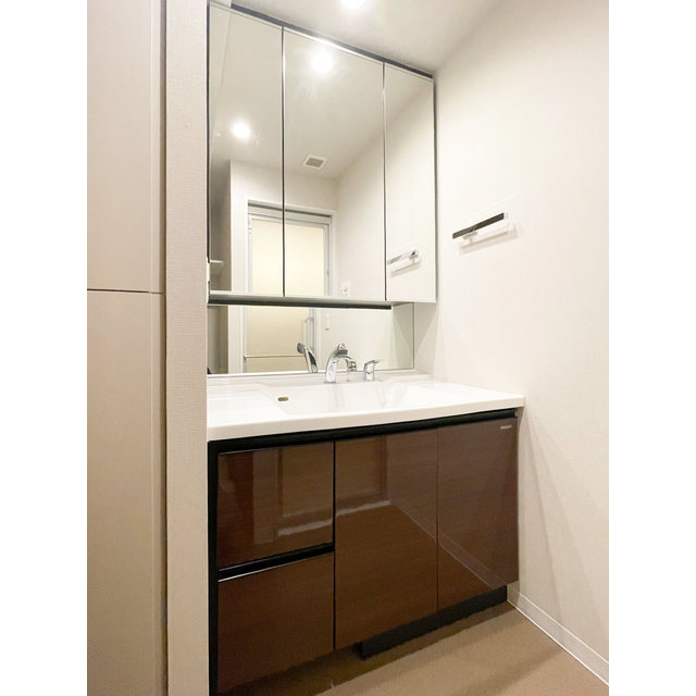 ザ・レジデンス赤坂檜町1101号室 内観