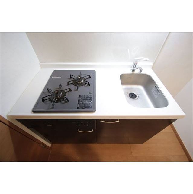 グリシーナ上北沢0207号室 内観