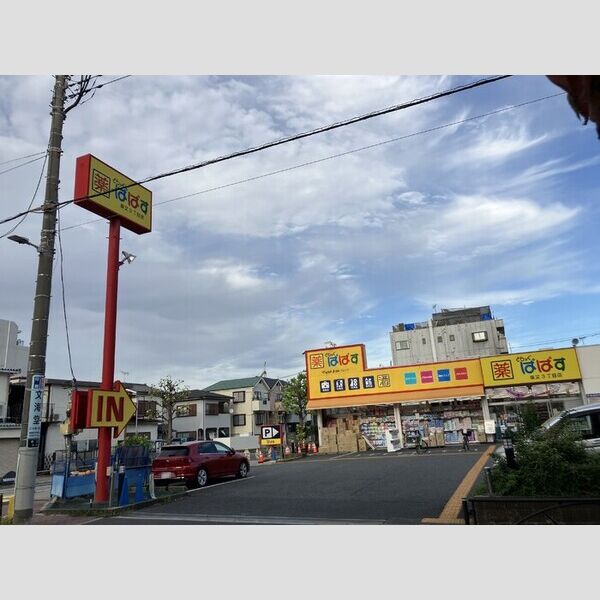 セレスティア柴又Ⅳ101号室 どらっぐぱぱす柴又3丁目店　360m(徒歩5分)