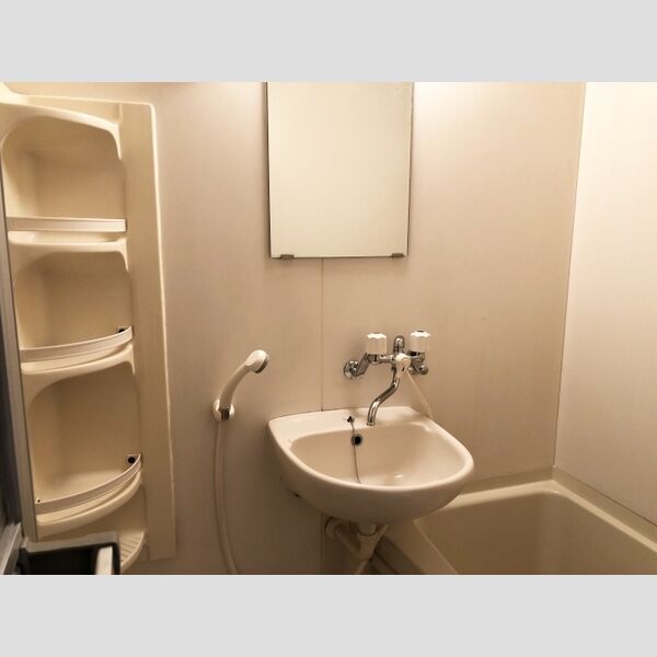 キャッスル202号室 洗面