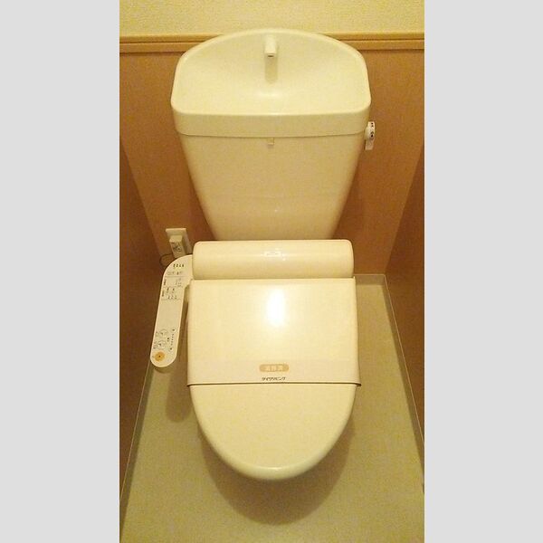 ロイヤルクレッセント西登戸参番館 トイレ