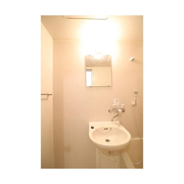 メゾン秋元3101号室 洗面