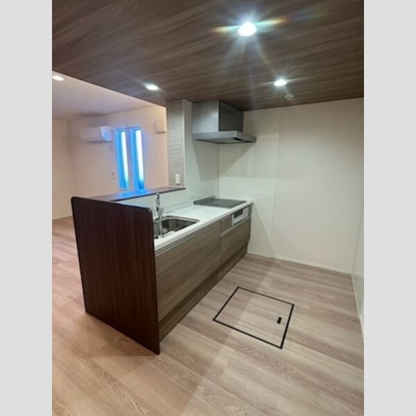 センカⅢ106号室 システムキッチン