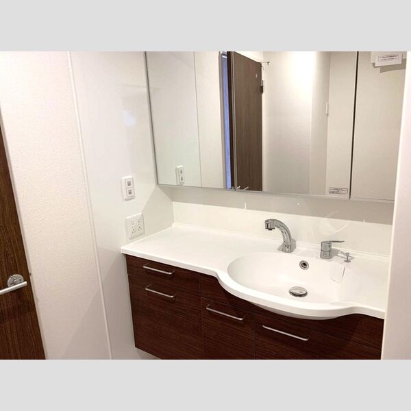 ロイジェントパークス草加手代　C205号室 洗髪洗面化粧台