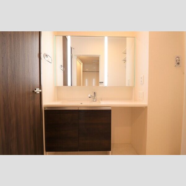 Premier101号室 洗髪洗面化粧台