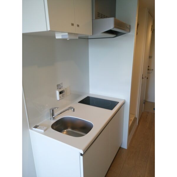 Ludens戸越銀座501号室 部屋その他