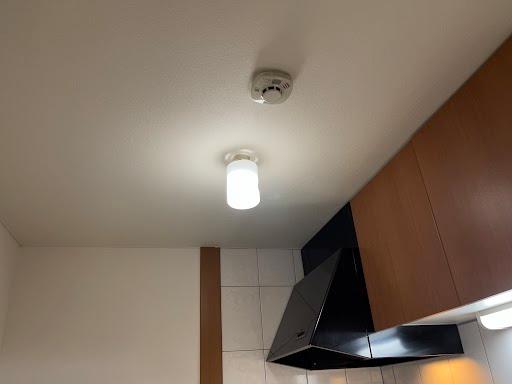 メゾン・ラクウショウ203号室 照明設備