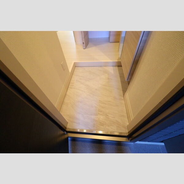 D Paina 宿河原7102号室 玄関土間