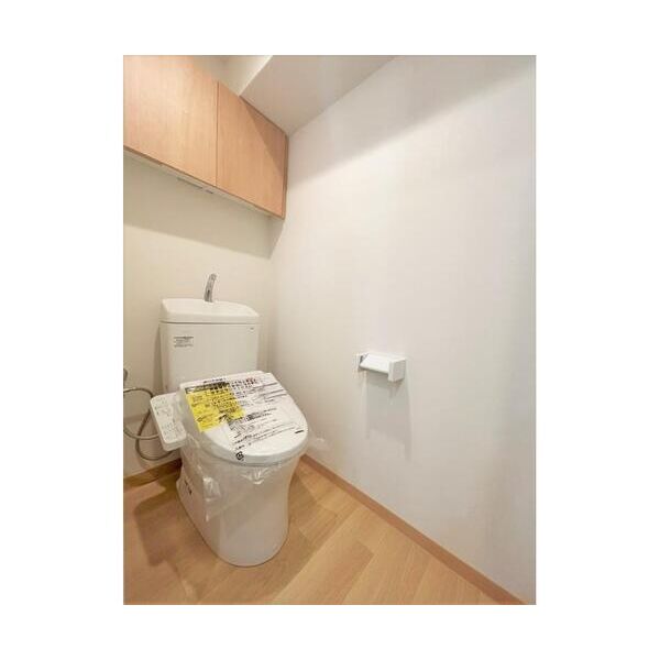 スミノ藤沢701号室 トイレ