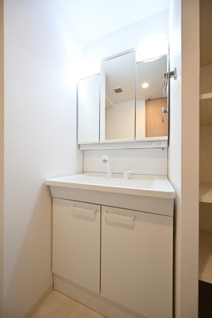 グランプレオ武蔵野 洗面