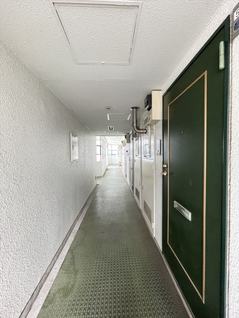 スカイコート川崎第4508号室 部屋その他