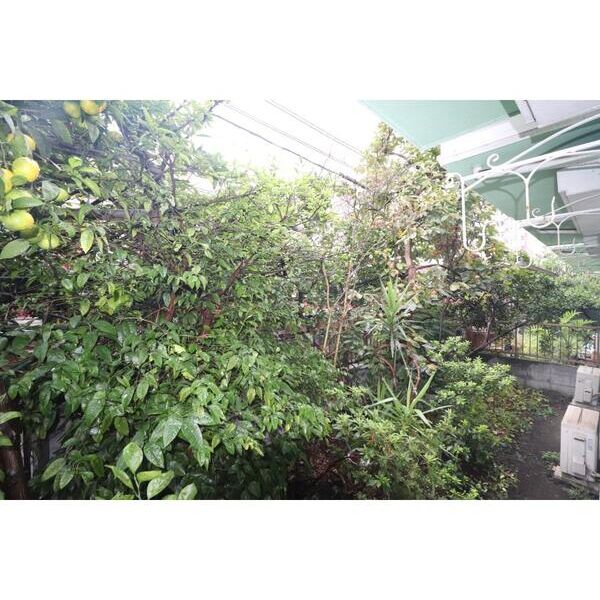 グリーンコーポ生麦101号室 部屋その他